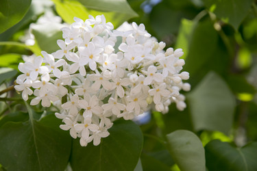 Similar image 6325244