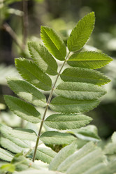 Similar image 6325246