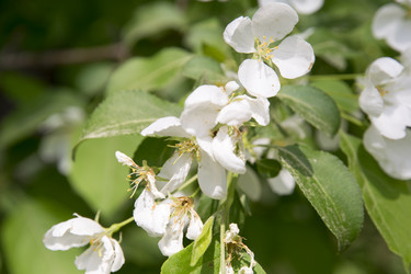 Similar image 6325247