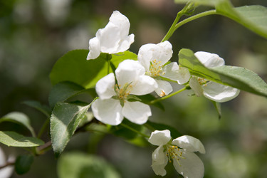 Similar image 6325249