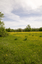 Similar image 6325250