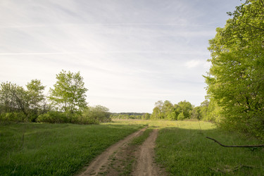 Similar image 6325254