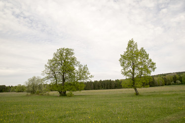 Similar image 6325255