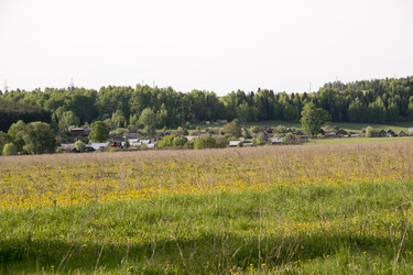 Similar image 6325256