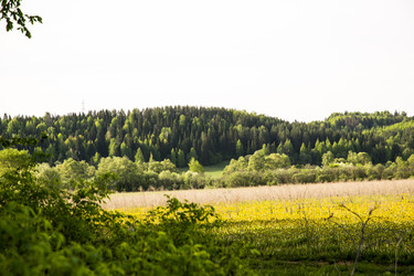 Similar image 6325269