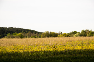 Similar image 6325271