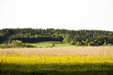 Similar image 6325273