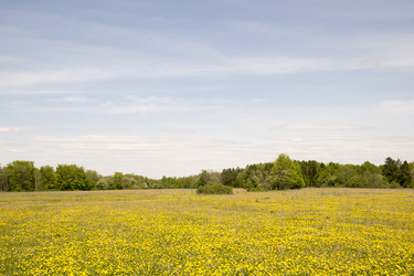 Similar image 6325274