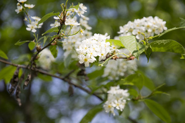 Similar image 6325282