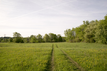 Similar image 6325285