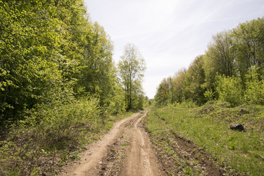 Similar image 6325306