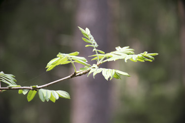 Similar image 6325316