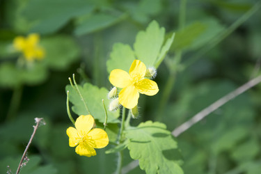 Similar image 6325327