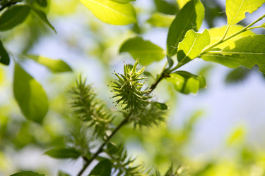 Similar image 6325331