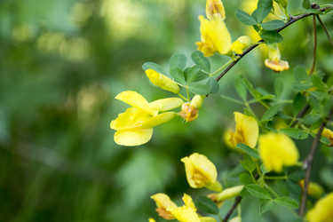 Similar image 6325332