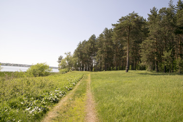 Similar image 6325339