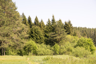 Similar image 6325342