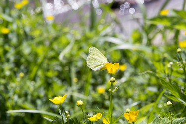 Similar image 6325341