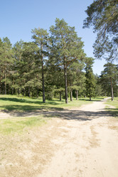 Similar image 6325343