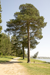 Similar image 6325345