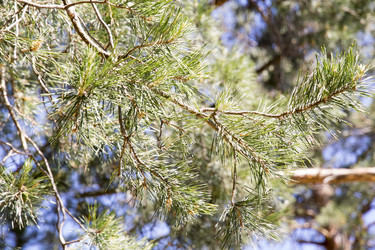 Similar image 6325347