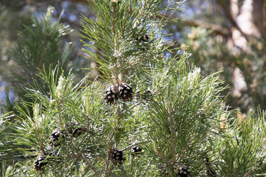 Similar image 6325348