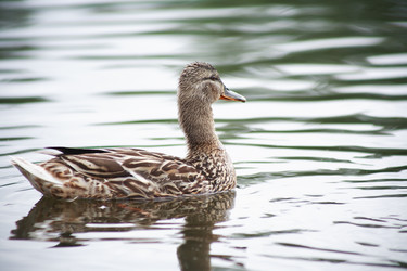 Similar image 6325400