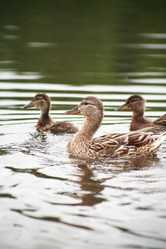 Similar image 6325401