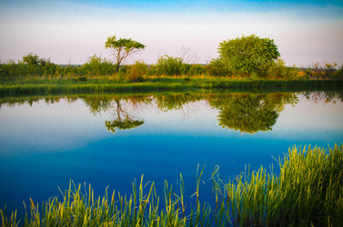 Similar image 6325406