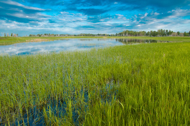 Similar image 6325411