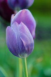 Similar image 6325414