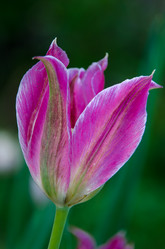 Similar image 6325427