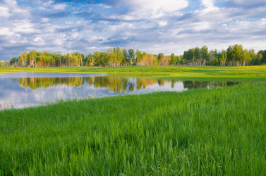 Similar image 6325428