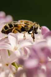 Similar image 6325431