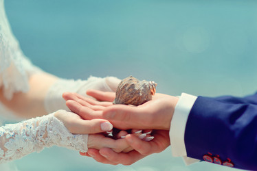 Similar image 6325433