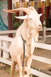 Similar image 6325561