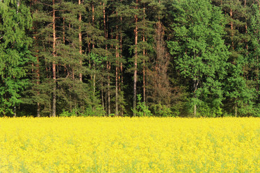 Similar image 6325643