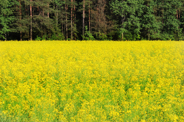 Similar image 6325644