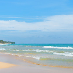 Similar image 6325651