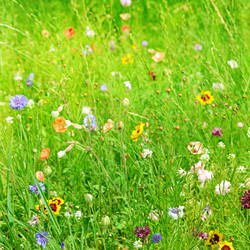 Similar image 6325653