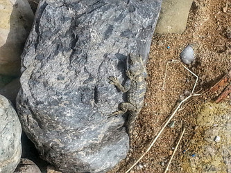 Similar image 6325680