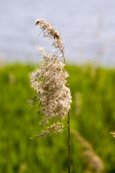 Similar image 6325697