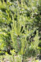 Similar image 6325698