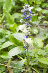 Similar image 6325699