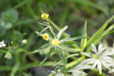 Similar image 6325702