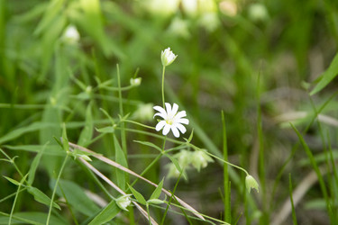 Similar image 6325704