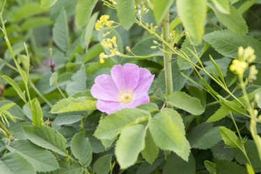 Similar image 6325710