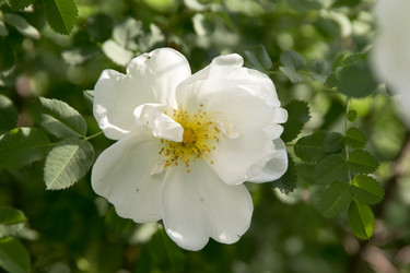 Similar image 6325712