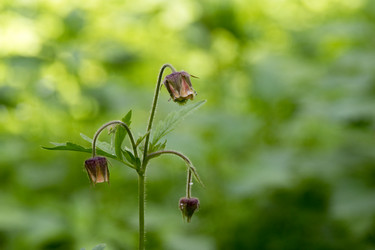 Similar image 6325716