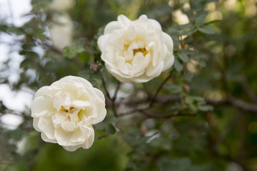 Similar image 6325717